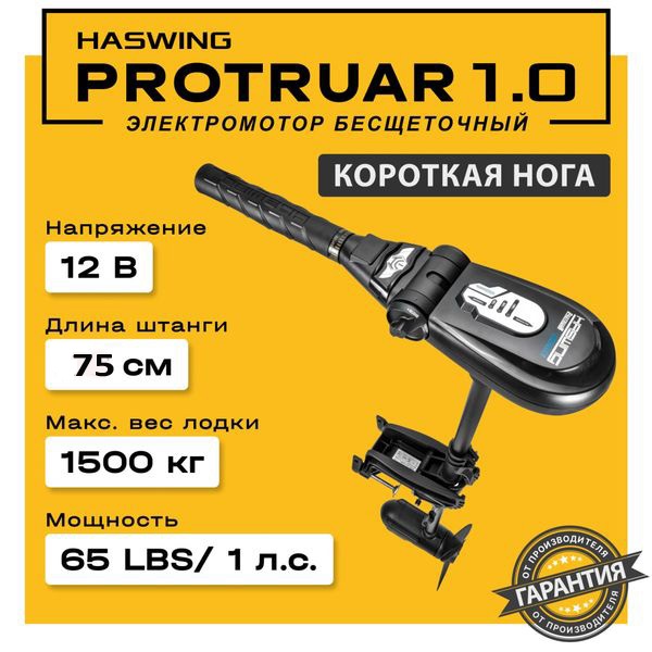 Электромотор Haswing Protruar 1.0 12V 75 см
