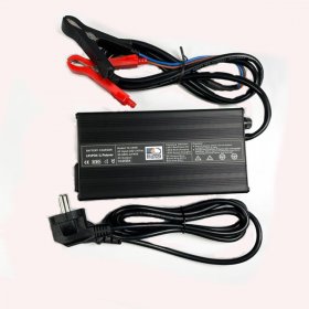 Зарядное устройство Titanat 12V20A