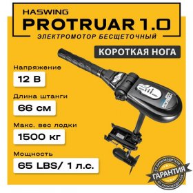 Электромотор Haswing Protruar 1.0 12V 66 см