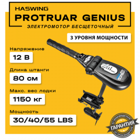 Электромотор Haswing Protruar Genius